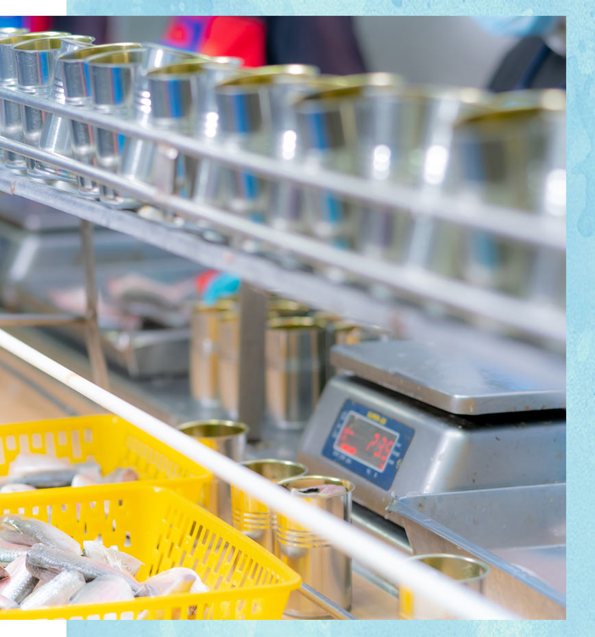 Gases para la industria alimentaria - Comercial Cruz Mar