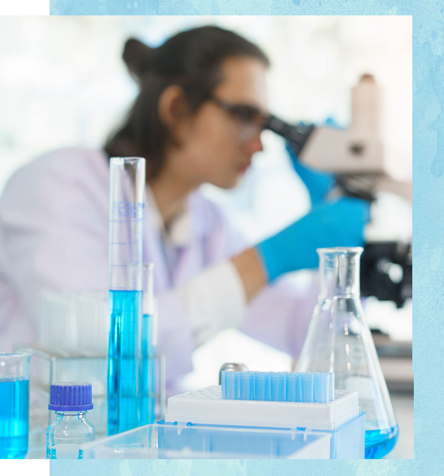 seccion gases gases especiales de ensayo - Comercial Cruz Mar